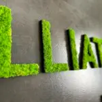 Moos-Schriftzüge, Moos-Slogans, Moos Buchstaben, Islandmoos, schwarzes Holz, individuelle Schriftarten