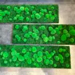 Mooswand, Moosbild, Kugelmoos, Flachmoos, Schallschutz, Praxis, Büro, Eingangsbereich, Natur, Grün