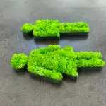 WC Männchen, Toiletten Kennzeichnung, Islandmoos, Moos