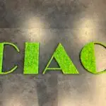 Moos Buchstaben individuell, diverse Schriftarten, Islandmoos