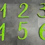 Icons aus Holz und Moos, Türbeschriftungen Praxis, Büro, Symbole, Islandmoos